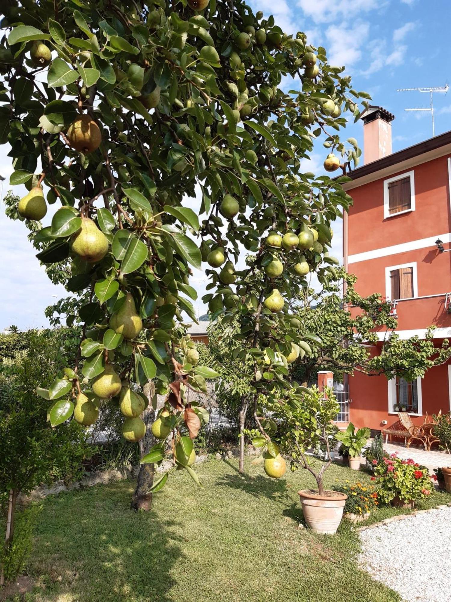 B&B Casa Del Conte Soligo Екстер'єр фото